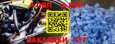 шишки Заводоуковск