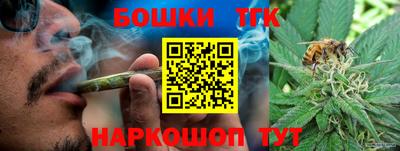 шишки Заводоуковск