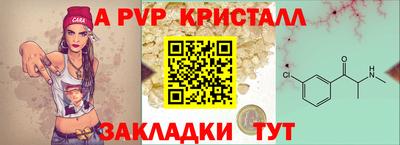 шишки Заводоуковск