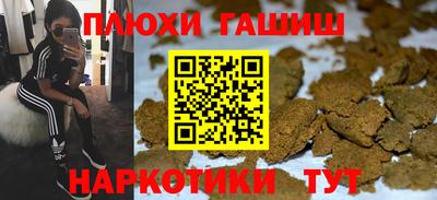 шишки Заводоуковск