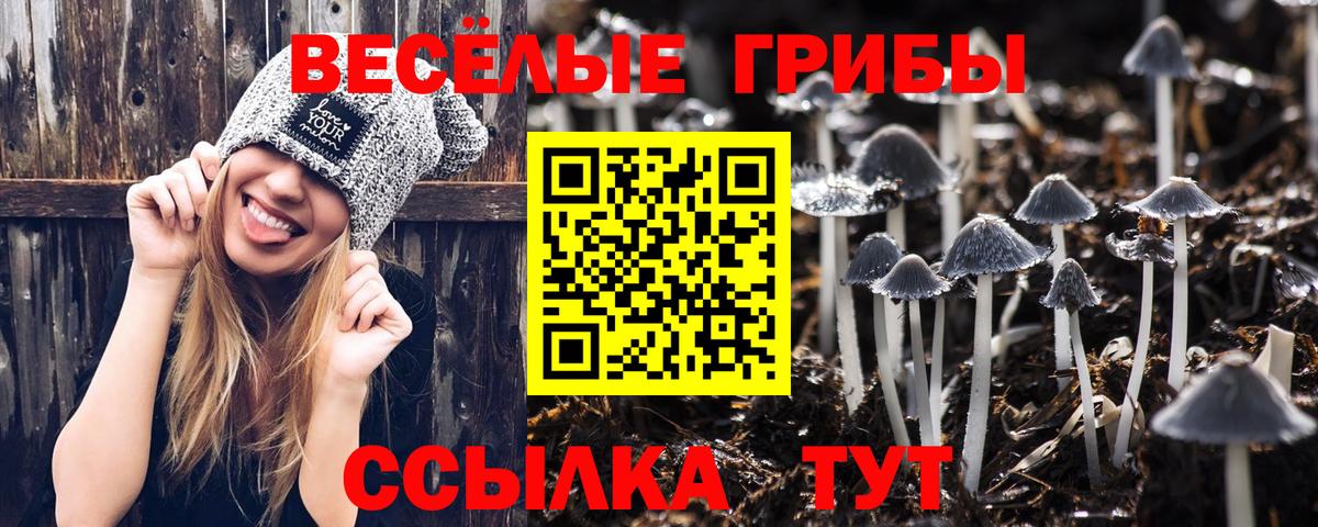Псилоцибиновые грибы прущие грибы  Вход с VPN  Старая Русса 
